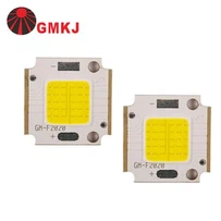 Sliseanna LED 10W 12VDC INPUT