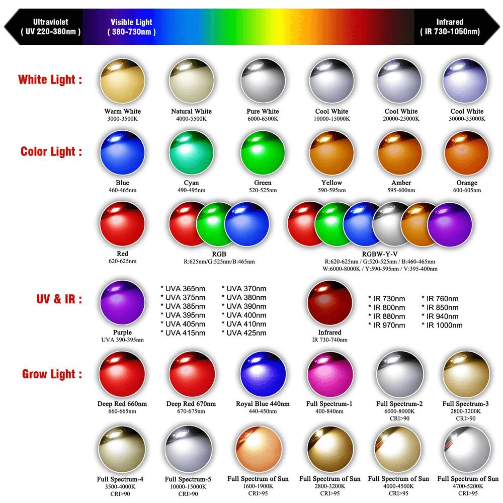 LED COLOR PICTURE (1)