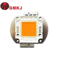 Speictrim Iomlán COB 50W LED don Uisceadán